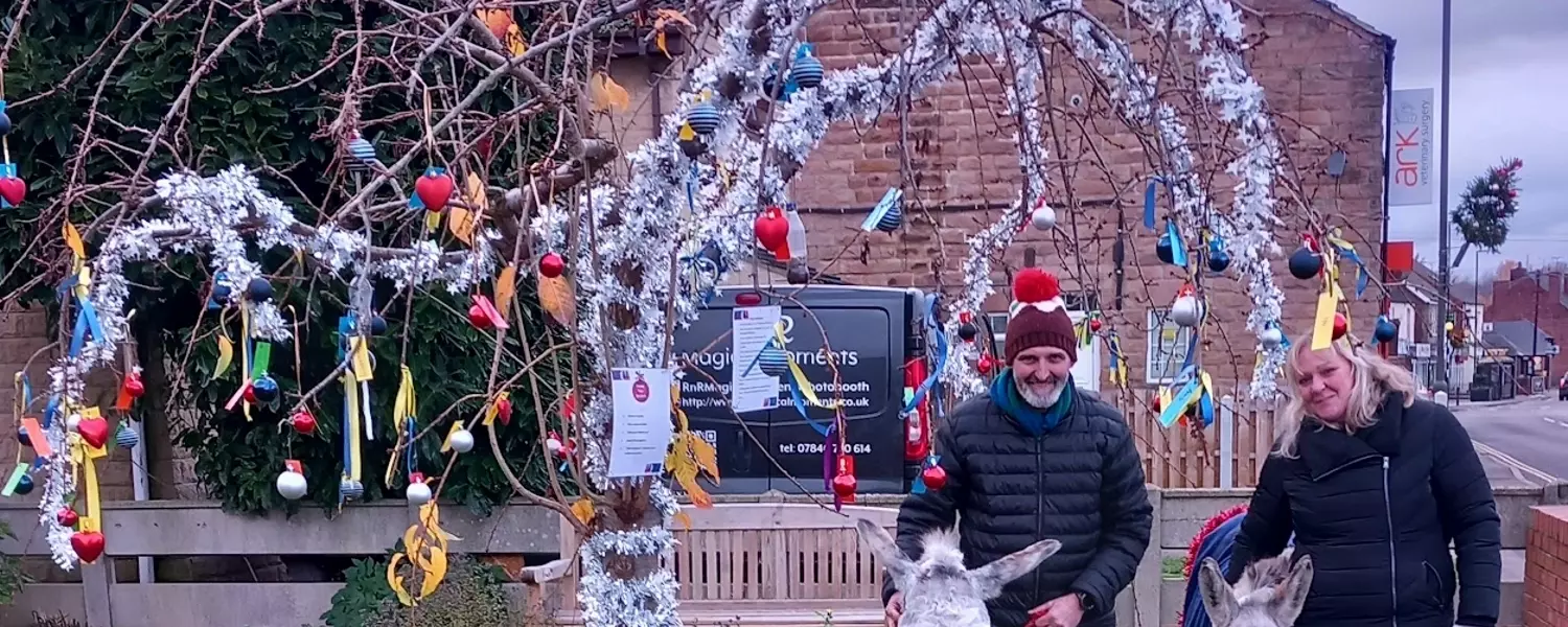 Donkeys arrived and Christmas prayers on the tree